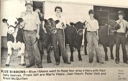 Photograph 225 of 329, 1980 collection