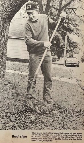 Photograph 243 of 329, 1980 collection