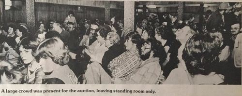 Photograph 303 of 329, 1980 collection