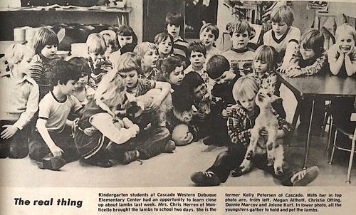 Photograph 62 of 393, 1981 collection