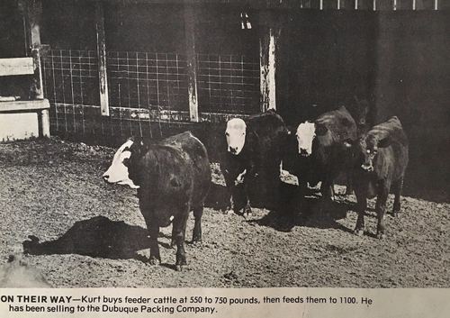 Photograph 163 of 393, 1981 collection