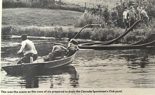 Photograph 186 of 393, 1981 collection