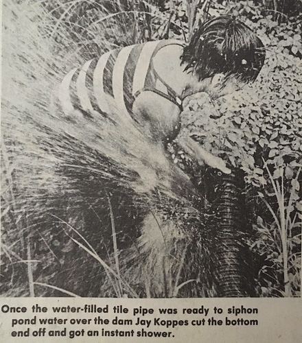 Photograph 188 of 393, 1981 collection
