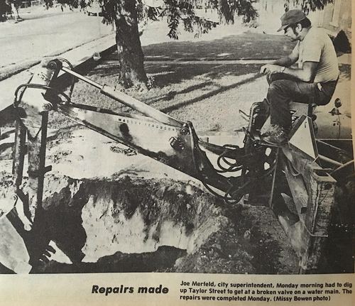 Photograph 207 of 393, 1981 collection