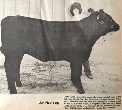Photograph 225 of 393, 1981 collection