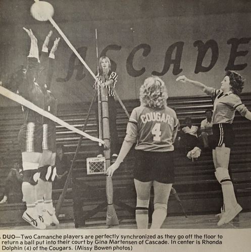 Photograph 239 of 393, 1981 collection