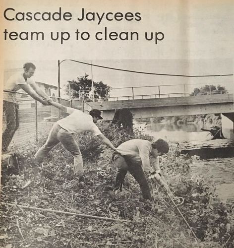 Photograph 242 of 393, 1981 collection