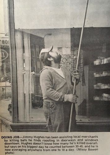 Photograph 244 of 393, 1981 collection