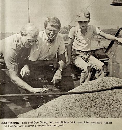 Photograph 258 of 393, 1981 collection