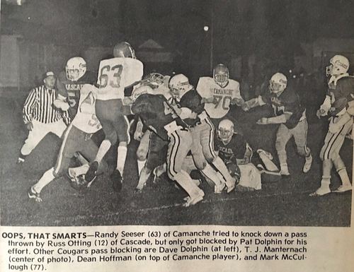 Photograph 275 of 393, 1981 collection