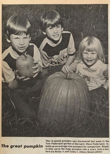 Photograph 284 of 393, 1981 collection