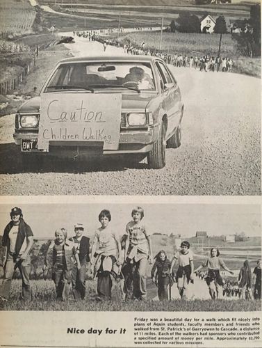 Photograph 293 of 393, 1981 collection