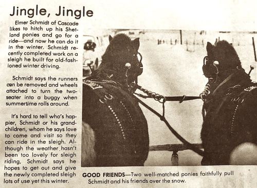 Photograph 31 of 438, 1982 collection