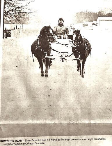 Photograph 36 of 438, 1982 collection