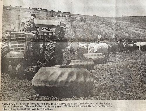 Photograph 174 of 438, 1982 collection