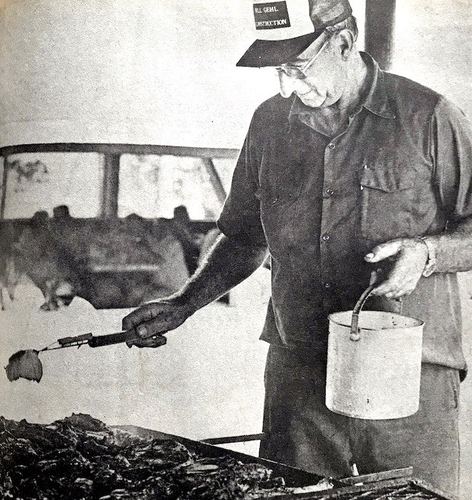 Photograph 260 of 438, 1982 collection