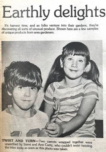 Photograph 276 of 438, 1982 collection