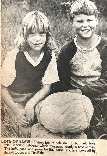 Photograph 278 of 438, 1982 collection