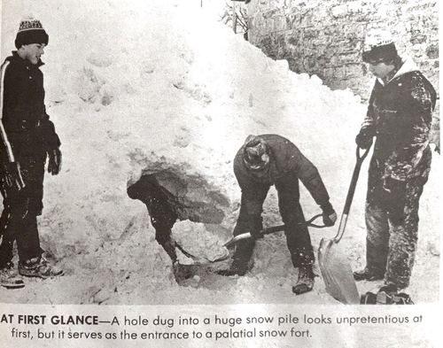 Photograph 72 of 500, 1983 collection