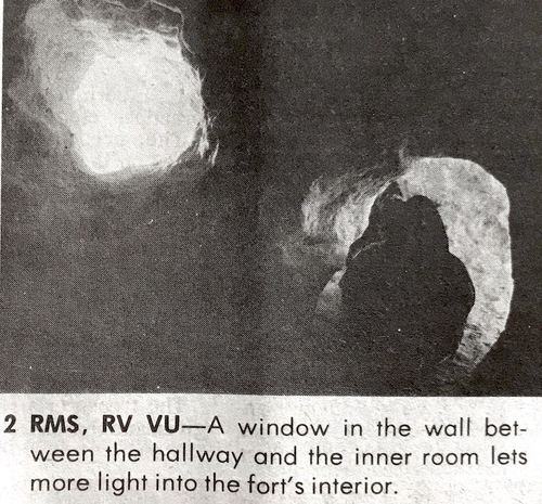 Photograph 73 of 500, 1983 collection