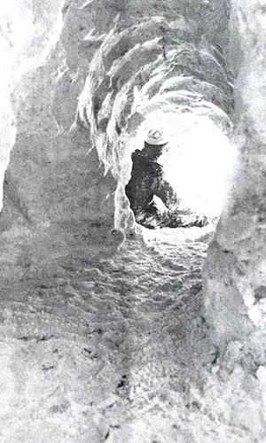 Photograph 74 of 500, 1983 collection