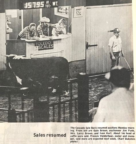 Photograph 264 of 500, 1983 collection