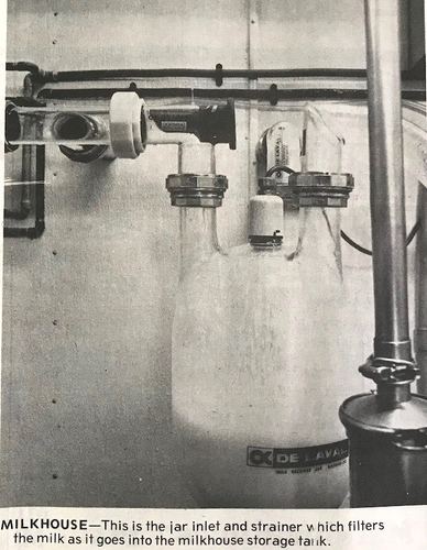 Photograph 274 of 500, 1983 collection