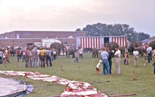 circus 1975005