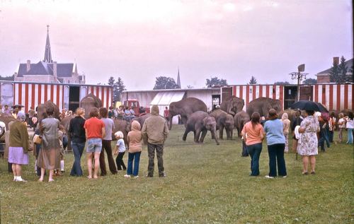 circus 1975011