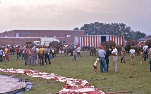circus 1975005