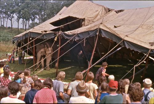 circus 1975007