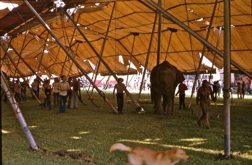 circus 1975009