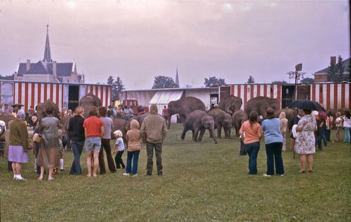 circus 1975011